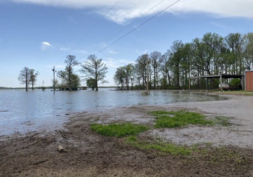 The Crucial Role of Nonprofit Organizations in Disaster Relief Efforts in Sangamon County, Illinois