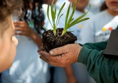 The Power of Volunteerism in Nonprofit Organizations in Sangamon County, Illinois